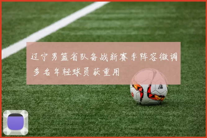 辽宁男篮省队备战新赛季阵容微调 多名年轻球员获重用